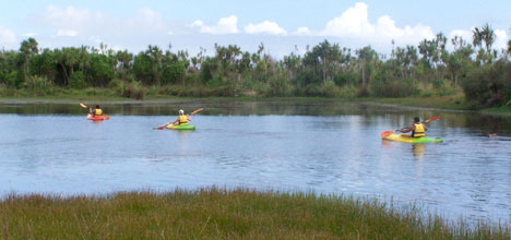 SunLive - Kaituna Wetland kayak trail opens - The Bay's News First