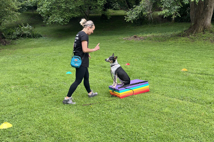 Trainer teaching children dog safety