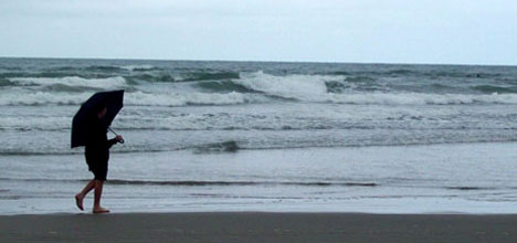 SunLive - Wet and windy week ahead - The Bay's News First