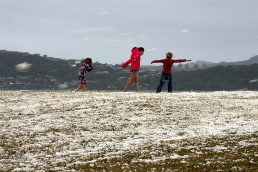 SunLive - Wild weather hits Coromandel - The Bay's News First