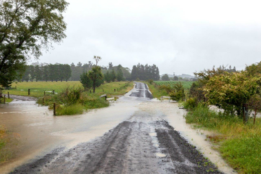 SunLive - Wild weather hits Coromandel - The Bay's News First