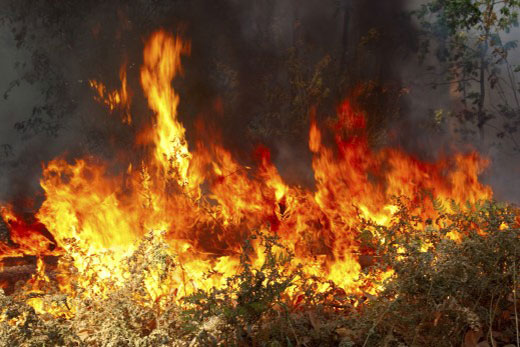 SunLive - Large scrub fire in Welcome Bay - The Bay's News First