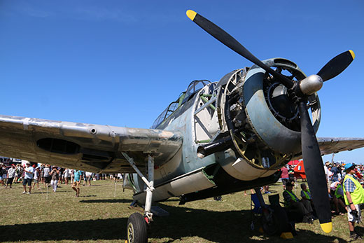 SunLive - Tauranga Air Show Takes Off - The Bay's News First