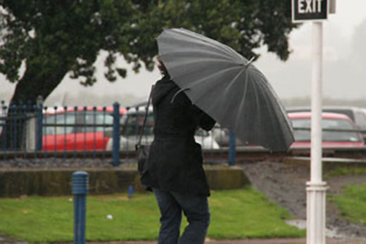 SunLive - Wet, windy and warm - The Bay's News First