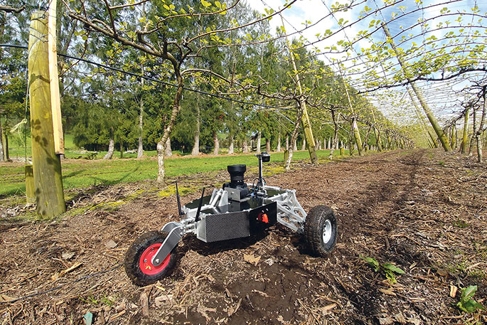 Vil have Ordliste Vores firma SunLive - Robot to bring accurate data to kiwifruit orchards - The Bay's  News First