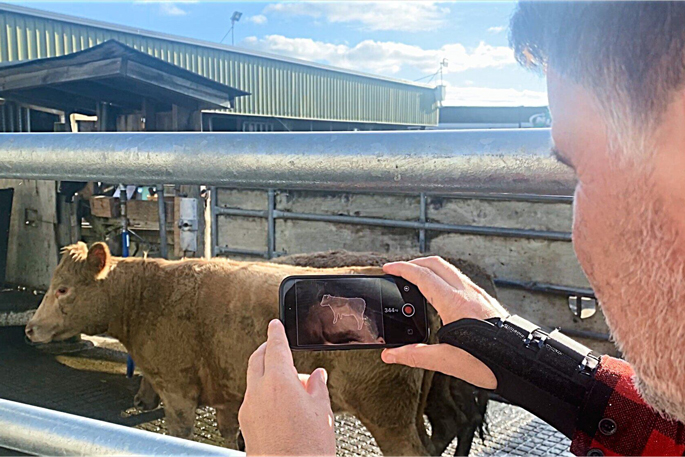 How 3D imagery, AI technology weigh large animals