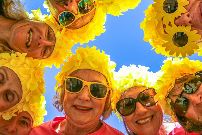 SunLive - Daffy Dippers to take the plunge for Daffodil Day - The Bay's News First
