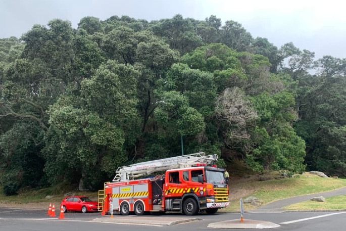 SunLive - Fire extinguished on Mount Drury - The Bay's News First