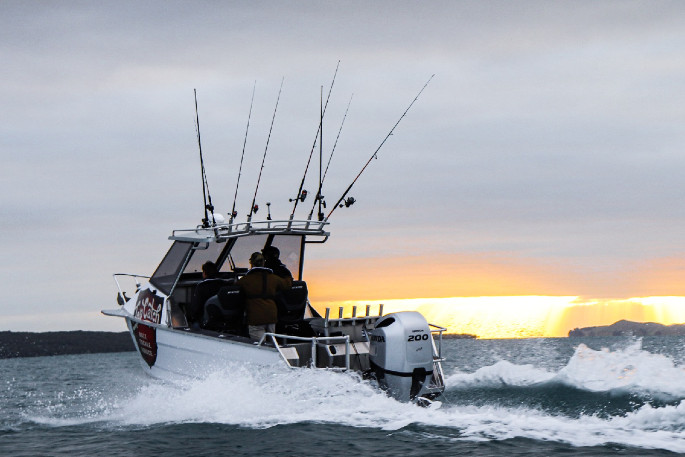 SunLive - Surtees 18th annual fishing competition back on - The Bay's News  First