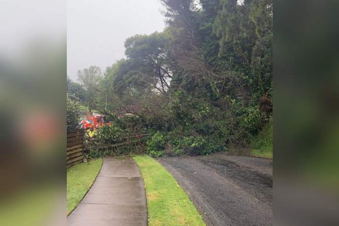 SunLive - Coromandel power restored, wild weather continues - The Bay's ...