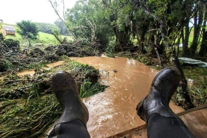 Low gumboots sales