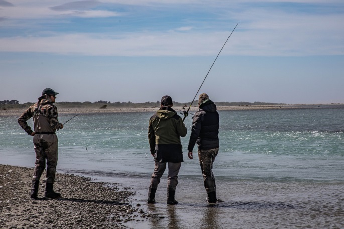 SunLive - Anglers warned about rogue fishing licence website - The Bay's  News First