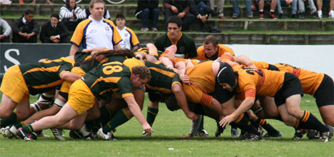 SunLive - Rugby win for Te Puke - The Bay's News First