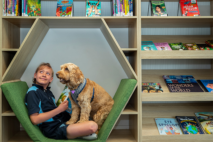 SunLive - Meet 'Roxy' the school therapy dog! - The Bay's News First