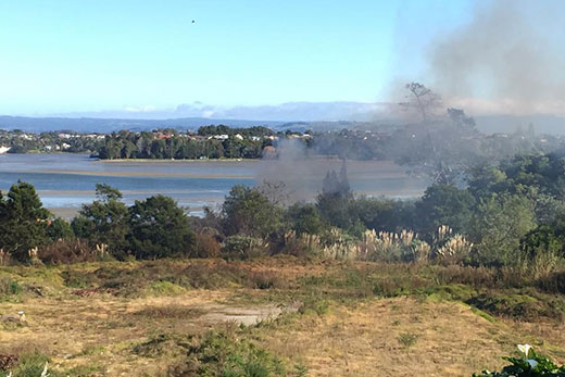 SunLive - Scrub fire in Welcome Bay - The Bay's News First