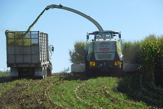 SunLive - New harvest machine collects data too - The Bay's News First