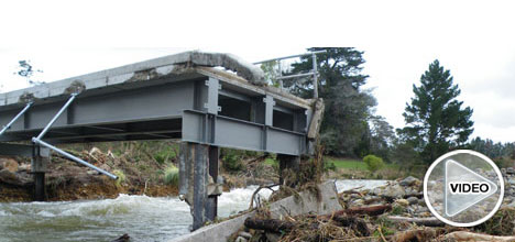 SunLive - Farmers soaked but happy - The Bay's News First