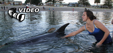 SunLive - Moko manners for beginners - The Bay's News First