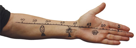 Share more than 65 tape measure tattoo best  thtantai2
